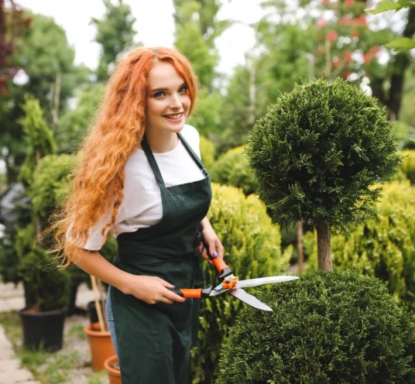 Landscapers hmgardeners